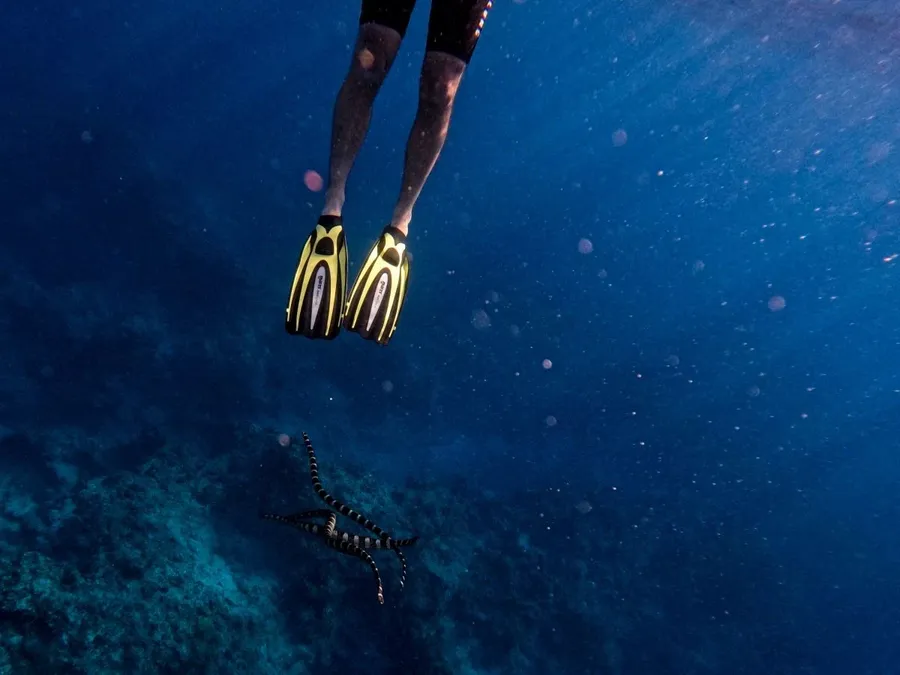 Niue Luxury Itinerary: 4 Days