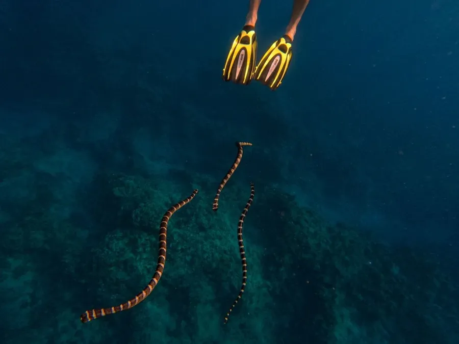 10 Unique &amp; Unusual Experiences in Niue