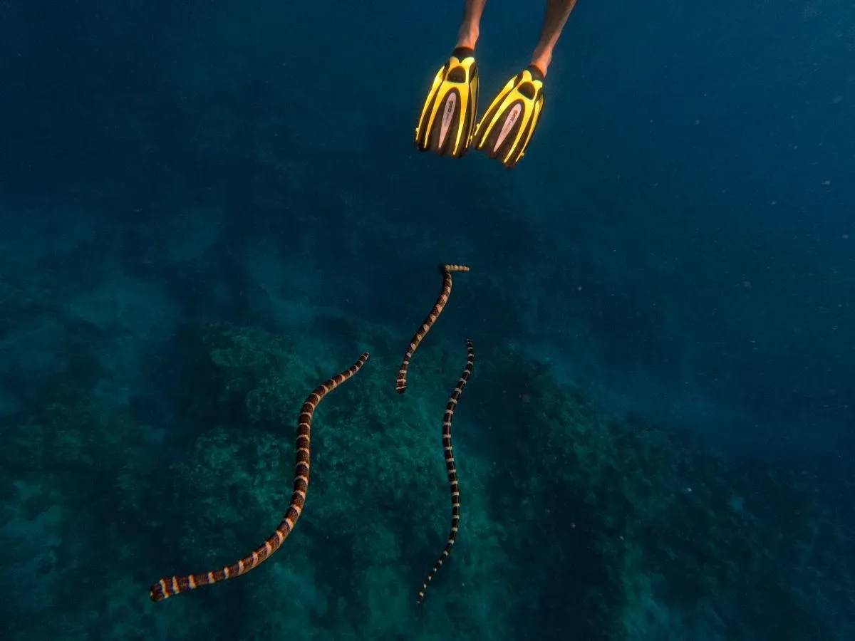 10 Unique & Unusual Experiences in Niue