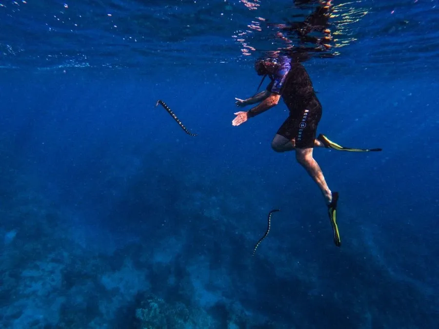 7 Best Nature Tours in Niue