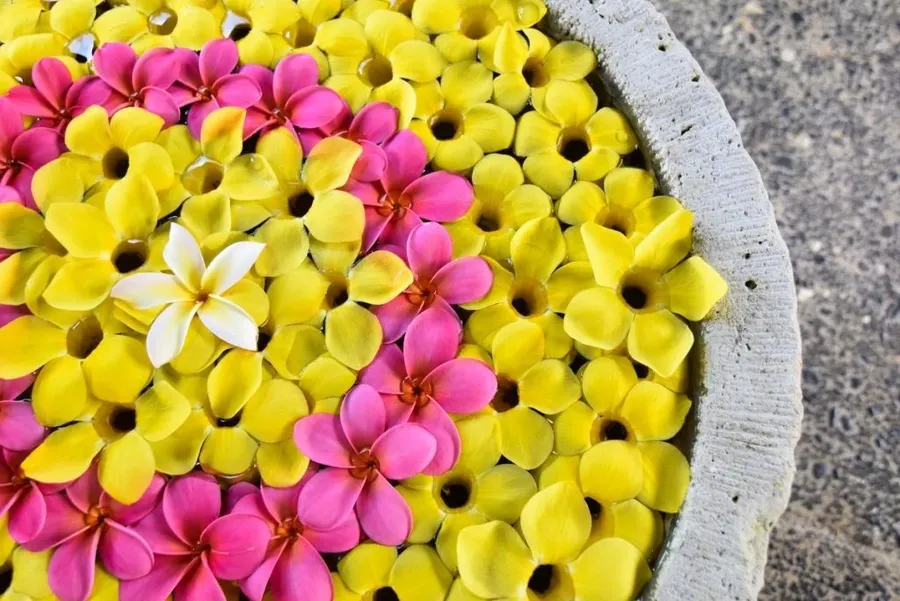 The Best Spas in Niue