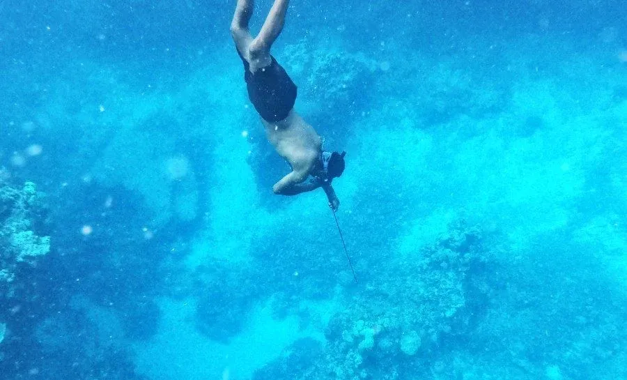 The Complete Guide to Spearfishing in Niue