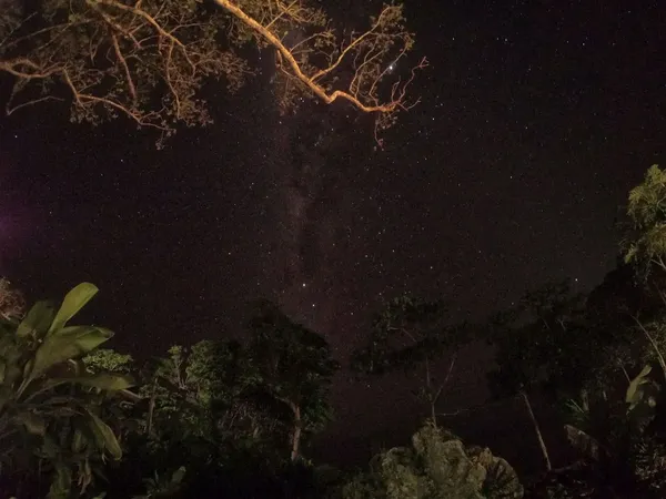 5 Best Places for Stargazing in Niue