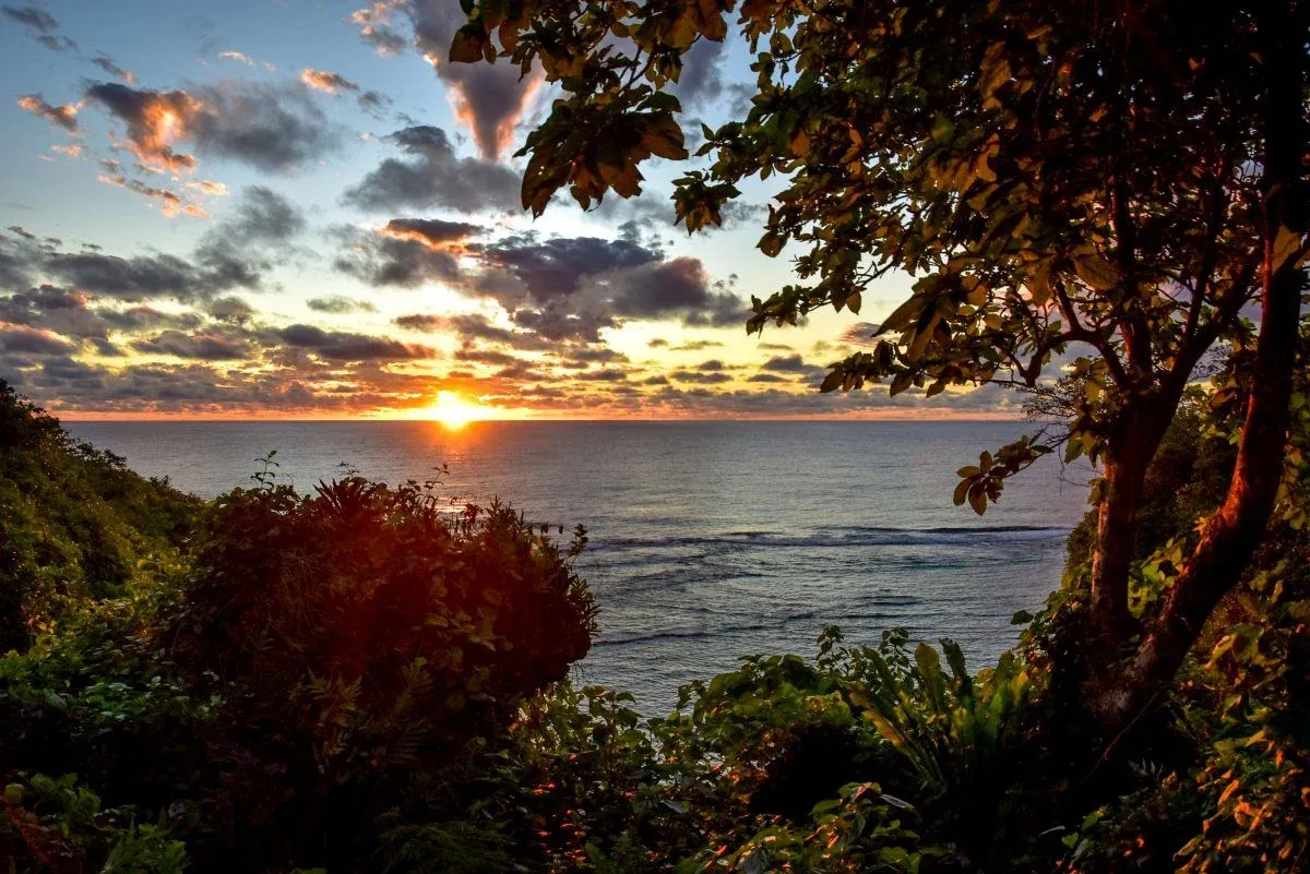 Niue Weather in February