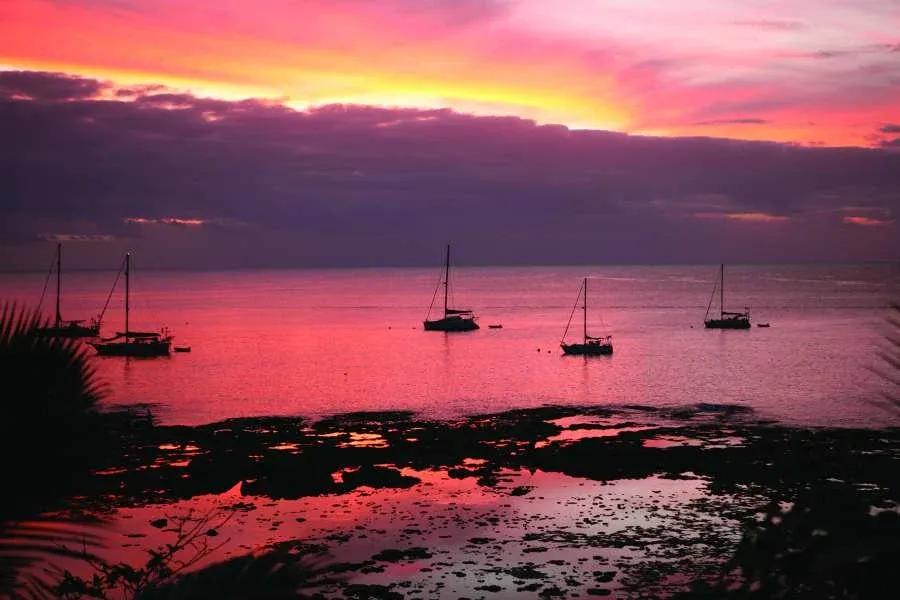 The Guide to Taking a Cruise to Niue