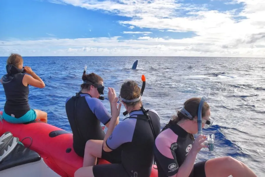 10 Must-Do Tours in Niue [2023]