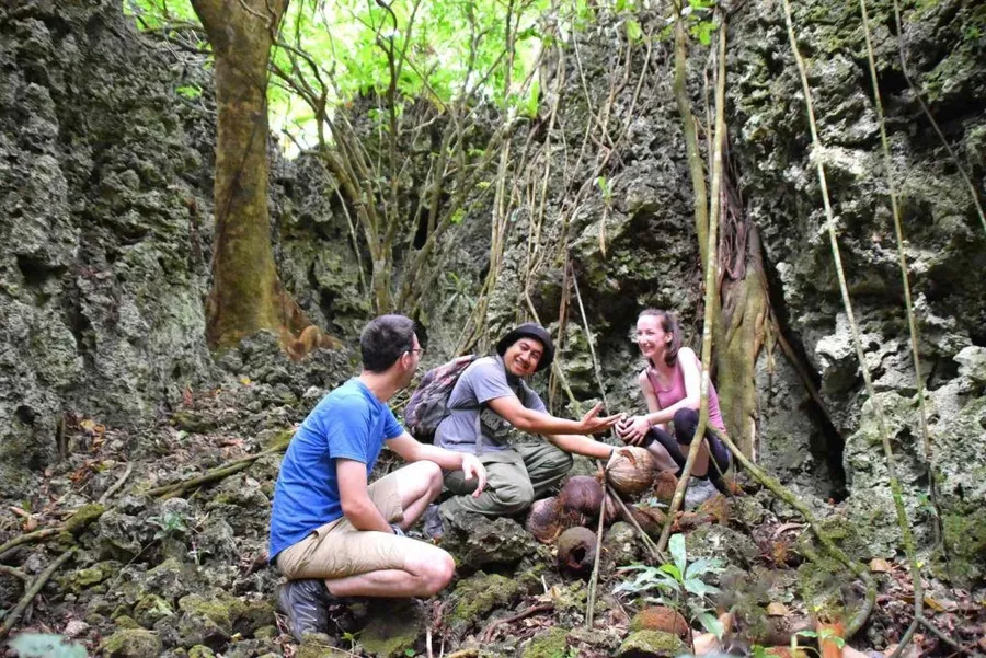 The Best Guided Tours in Niue [2023]