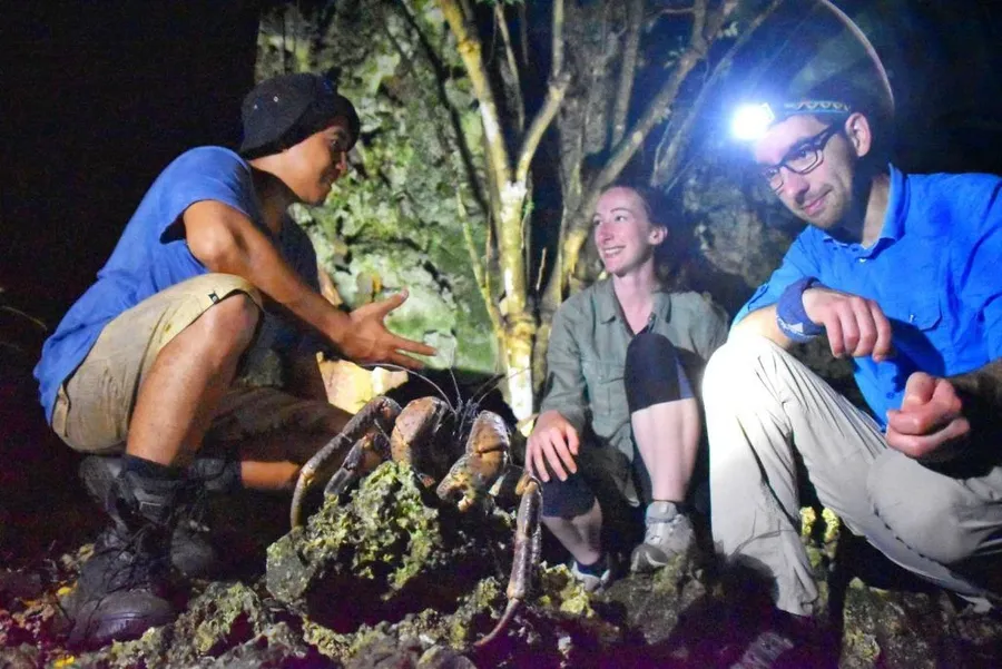 6 Ways to See Uga (Coconut Crabs) in Niue
