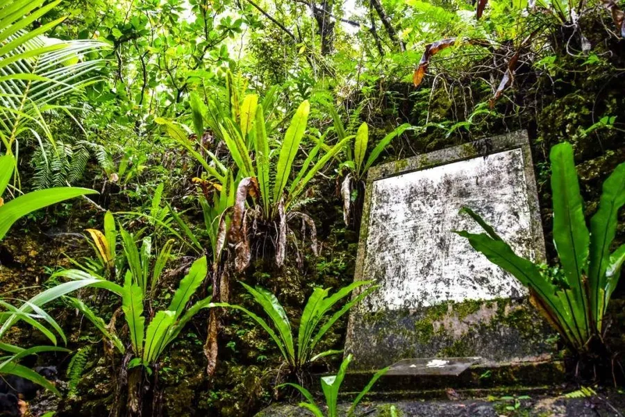 101 Things to Do in Niue: The Ultimate List ???? [2023]