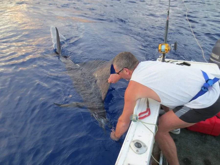 What Types of Fish Can You Fish for in Niue?