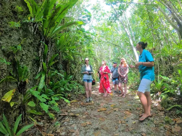 10 Tips for Walking & Hiking in Niue