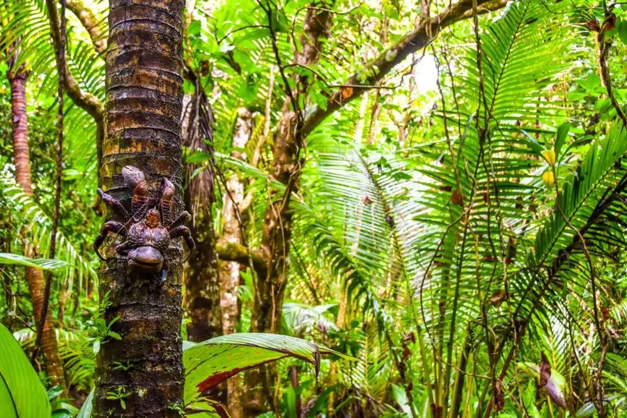 10 Best Wildlife Tours &amp; Experiences in Niue [2023]