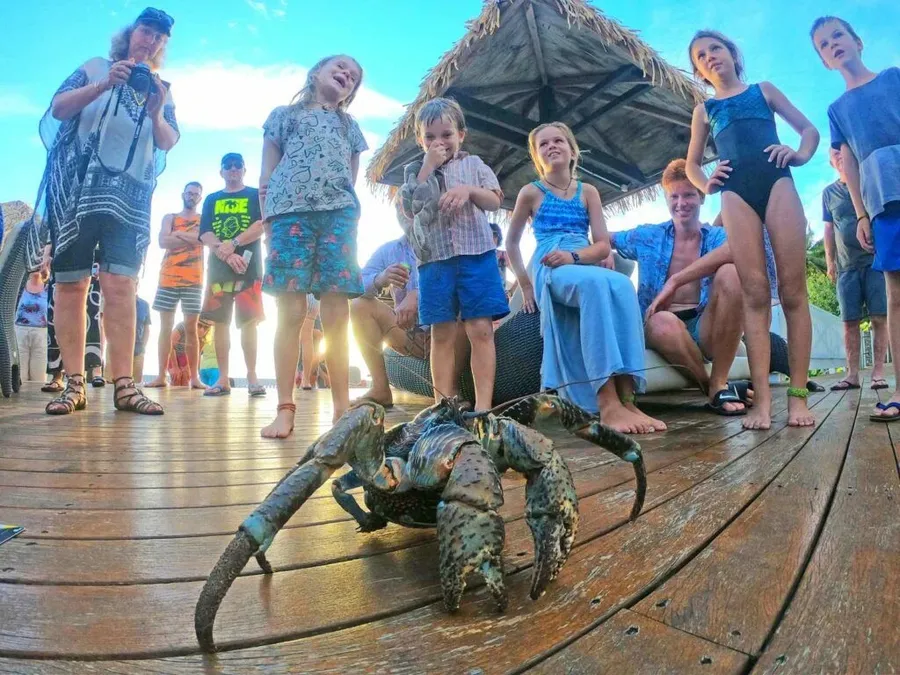 The Travel Guide to Niue for Families