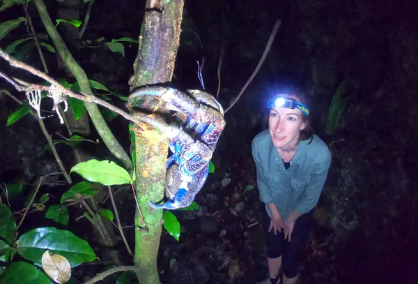 A Traveller’s Guide to the Wildlife in Niue