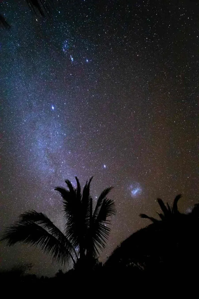 10 Must-Dos in Niue