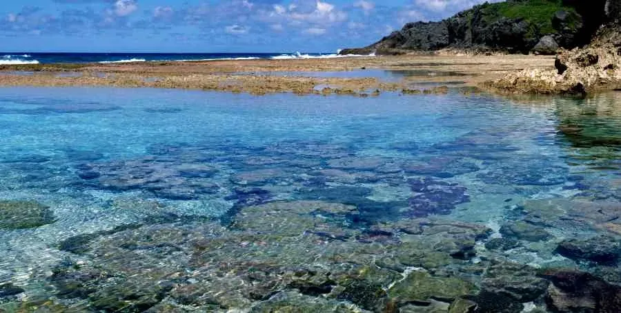 What You Need to Know About the Kaloama/Goatfish Season in Niue