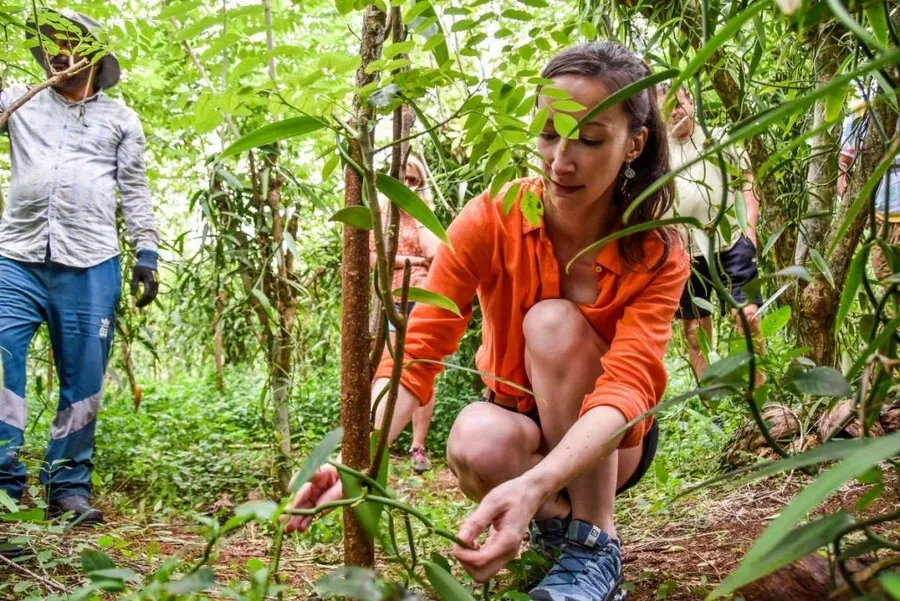 Niue Foodie Itinerary: 14 Days / Two Weeks