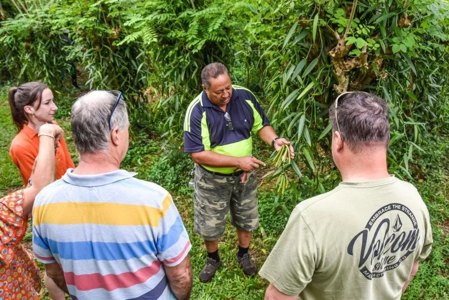 The Food Guide to Niue: Places to Eat, Food Tours & More