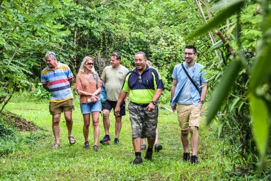 6 Best Guided Tours in Niue ???? [2023]