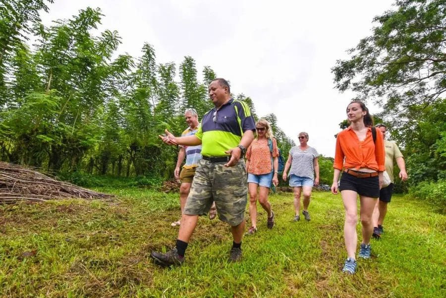 10 Must-Do Tours in Niue [2023]
