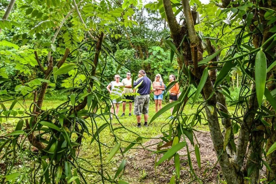 7 Best Nature Tours in Niue