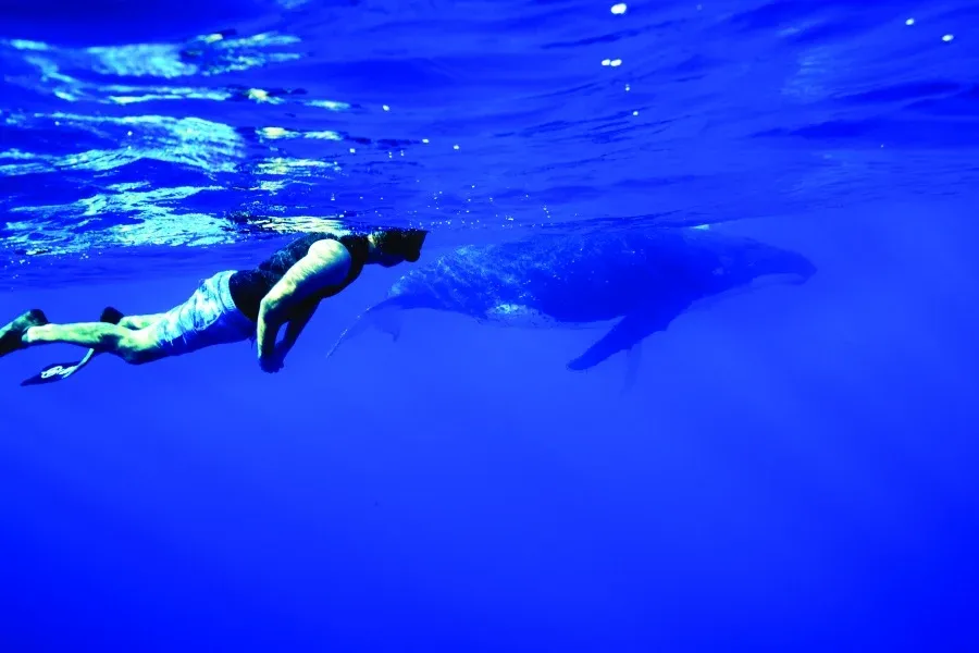30 Tips for Travelling in Niue