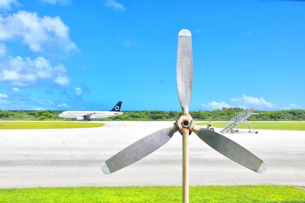 Airport Arrival in Niue - Hanan Airport: Step-by-Step