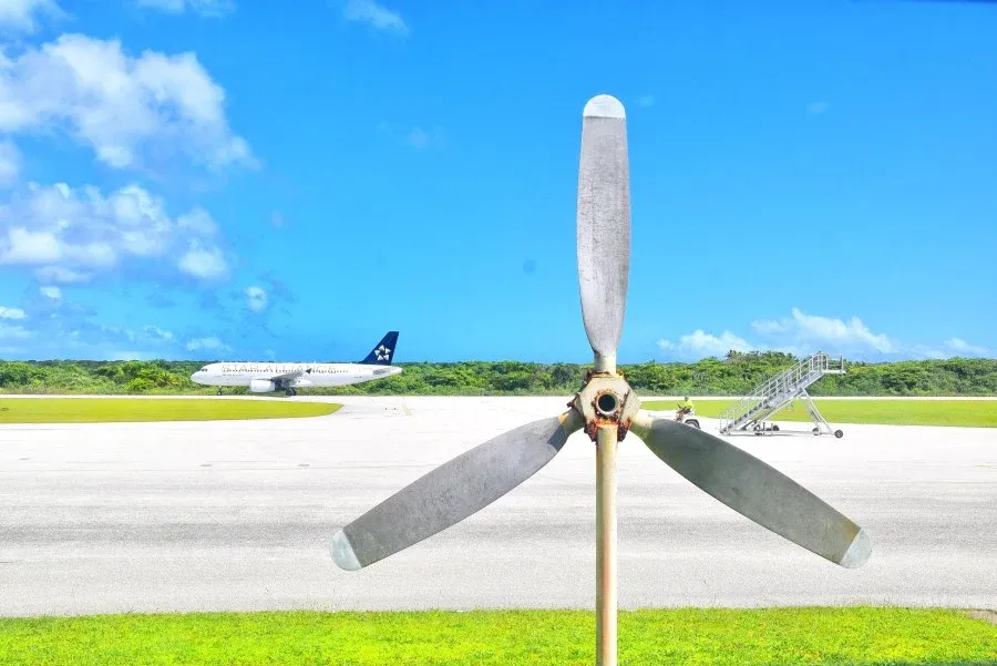 Which Airlines Fly to Niue?