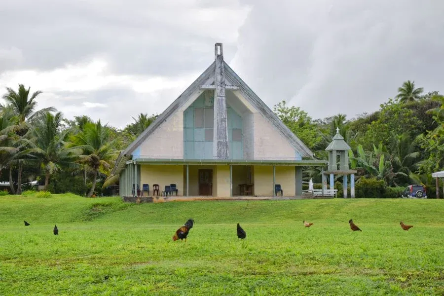 10 Ways to Experience the Niue Wildlife