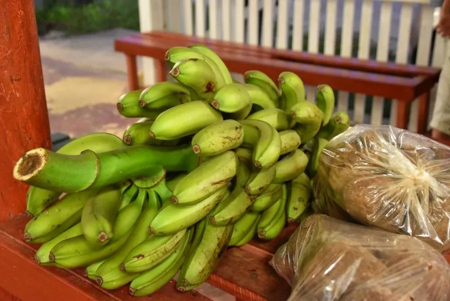 9 Exotic Fruits in Niue You Have to Try