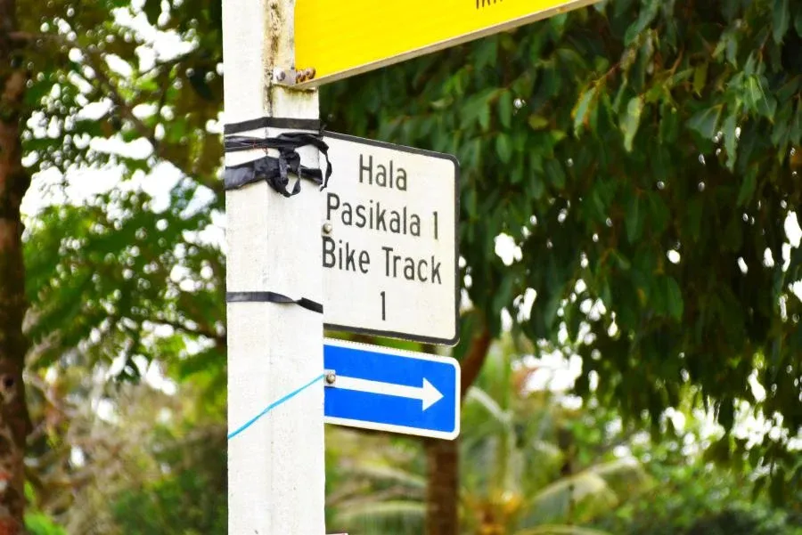 The Guide to Mountain Biking in Niue