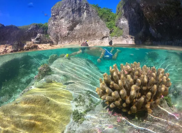 Coral Snorkel Dome Talava Arches Mandatory Credit To NiuePocketGuide.com Small