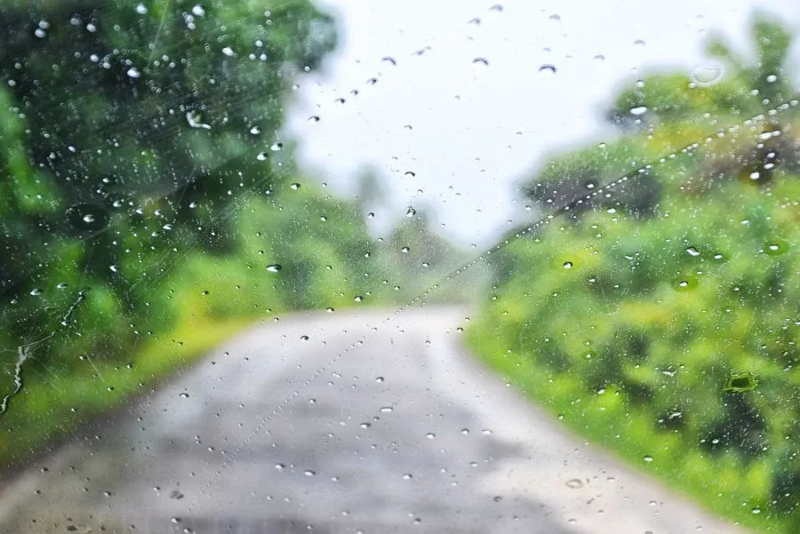 Niue Weather by Month: What is the Weather Like in Niue? ⛅