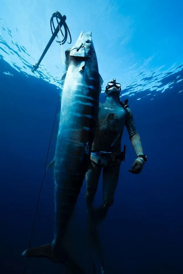 The Complete Guide to Spearfishing in Niue