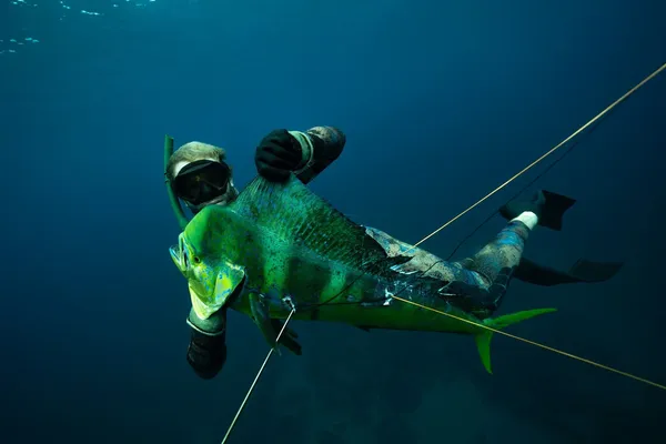 The Complete Guide to Spearfishing in Niue