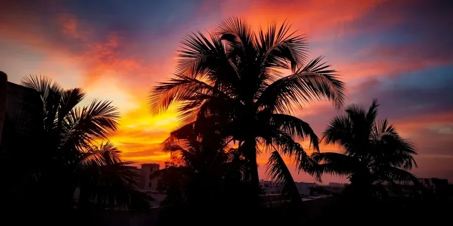 10 Best Guest Houses in Alofi