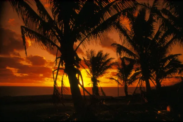 Niue Weather in November