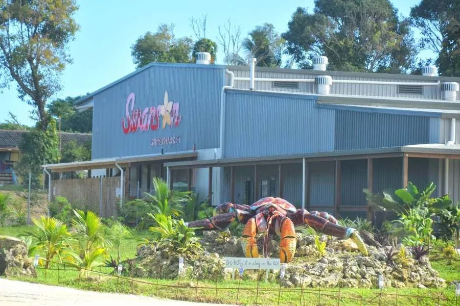 101 Things to Do in Niue: The Ultimate List