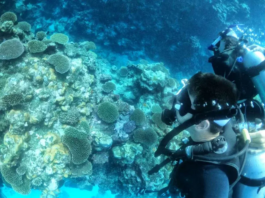 Niue Honeymoon Itinerary: 7 Days