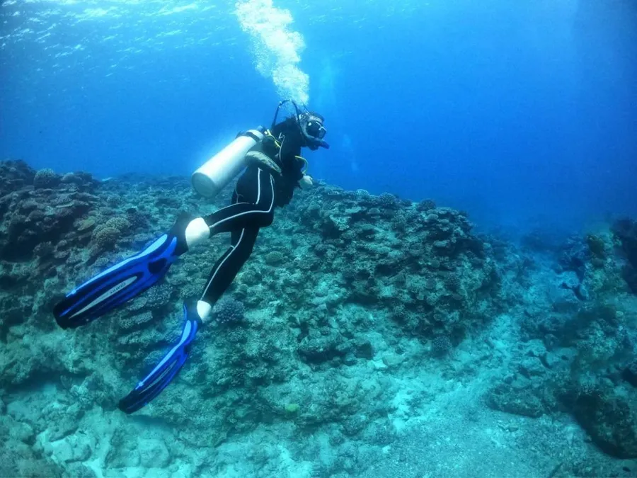 10 Ways to Save Money When Travelling in Niue