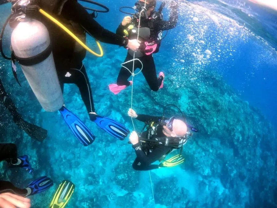 Learn to Dive in Niue: Where to Get Your Scuba Diving Certification