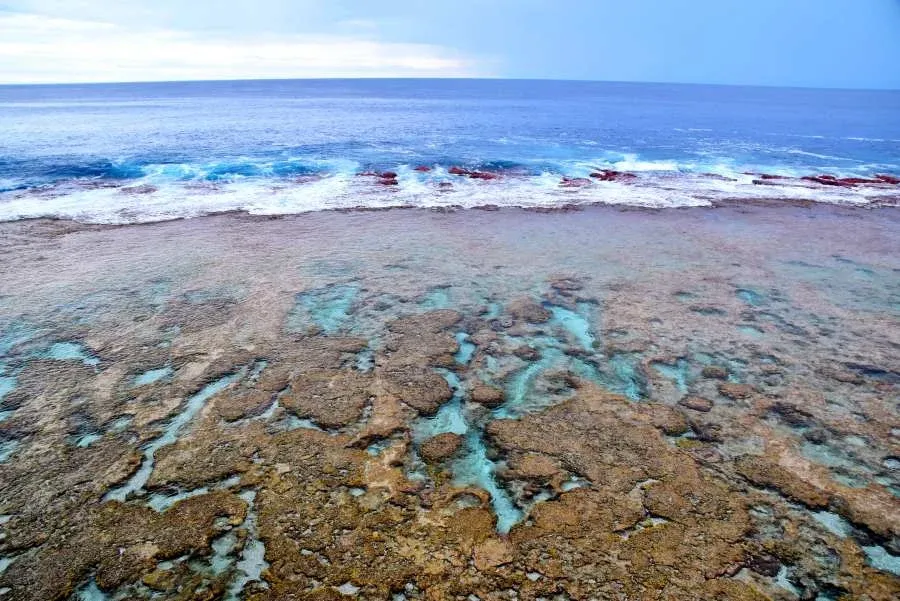 10 Best Dive Sites in Niue