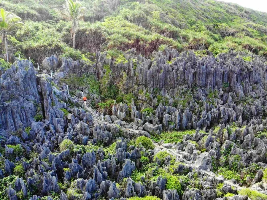 5 Best Day Trips in Niue ????️