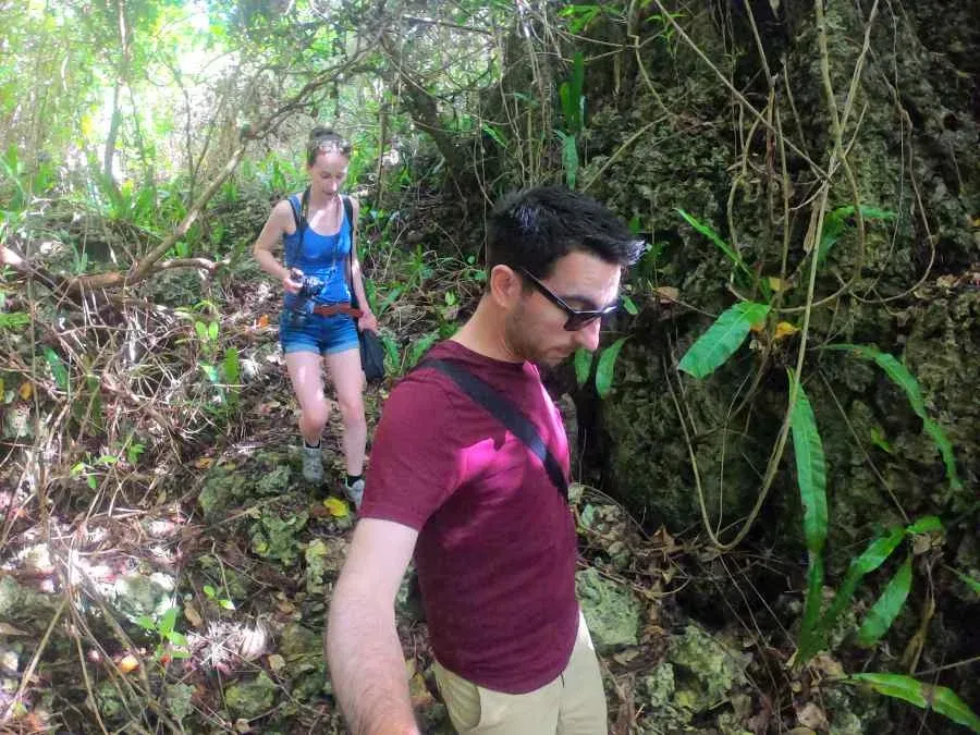 The Complete Guide to Niue