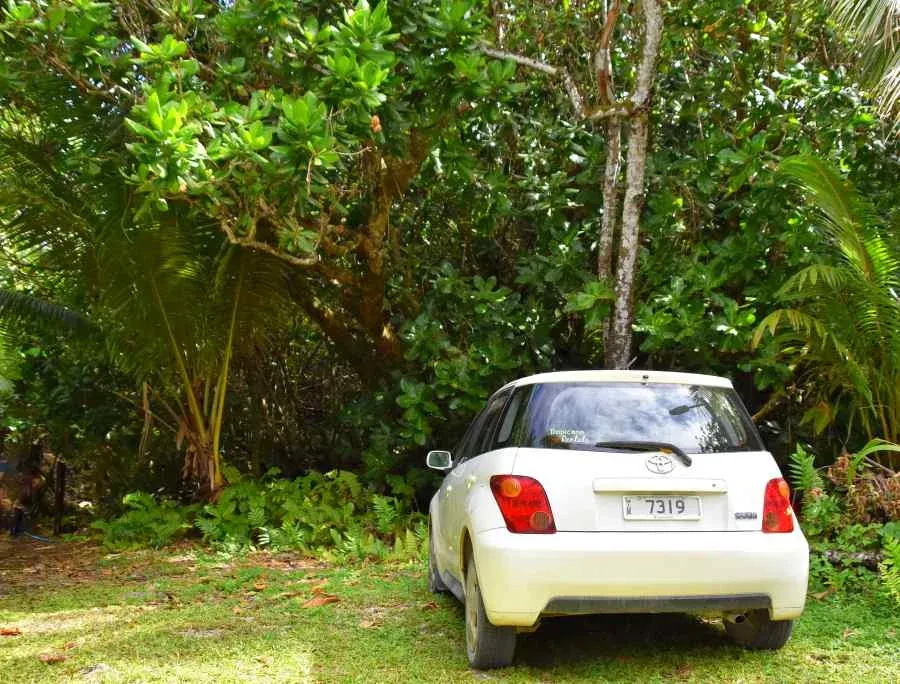 10 Ways to Save Money on Car Rental in Niue