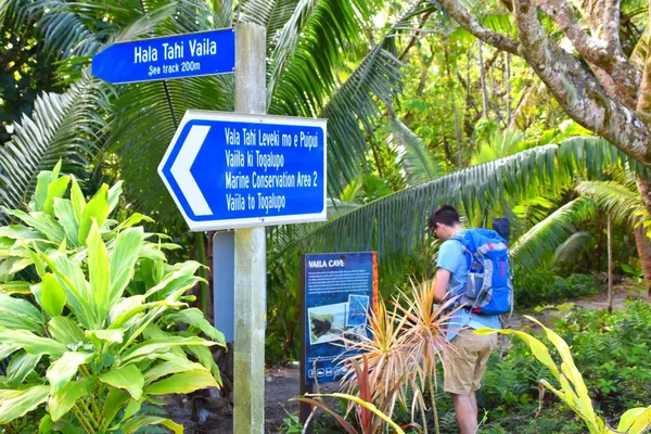 8 Best Walks in Alofi