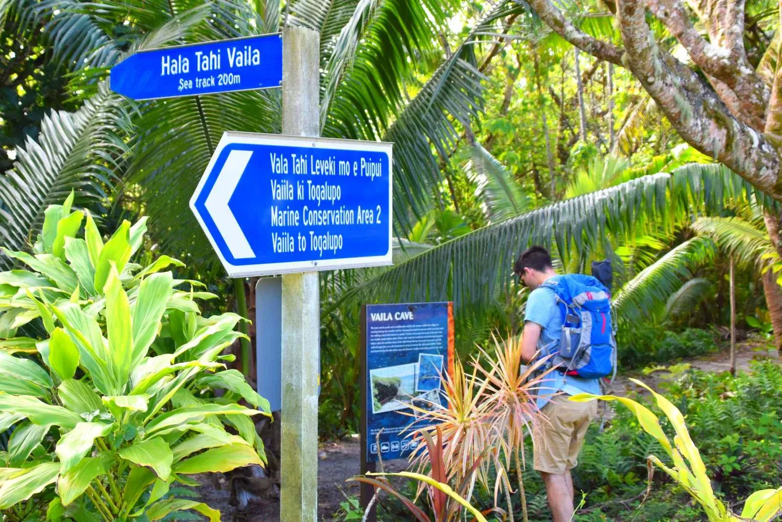 8 Best Walks in Alofi