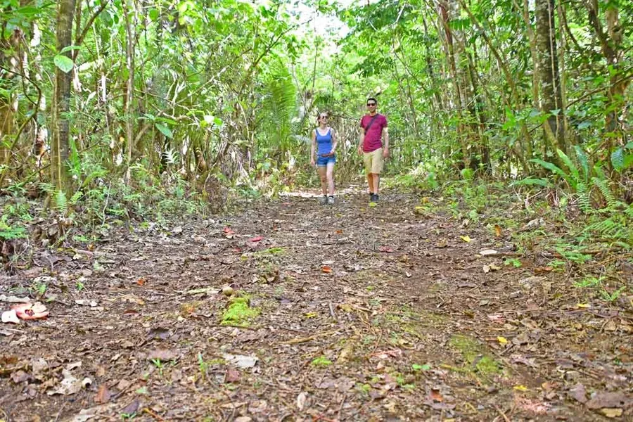 6 Eco-Friendly Alternatives to Renting a Car in Niue