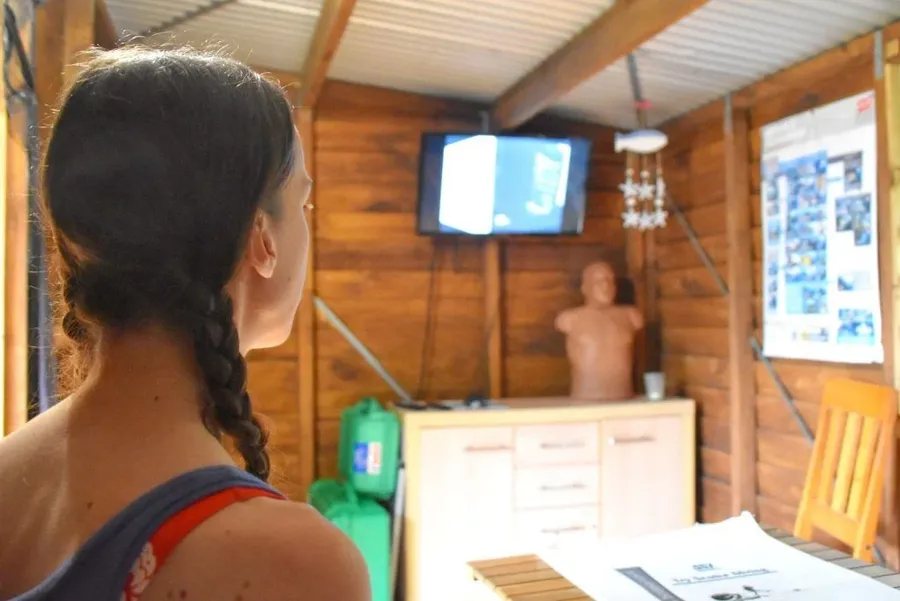 Learn to Dive in Niue: Where to Get Your Scuba Diving Certification