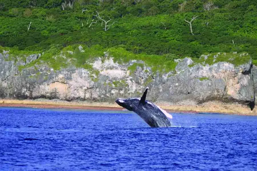 Niue Weather in September